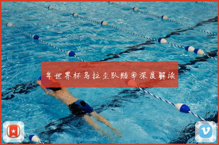 年世界杯乌拉圭队赔率深度解读
