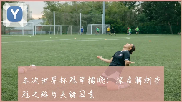 本次世界杯冠军揭晓：深度解析夺冠之路与关键因素