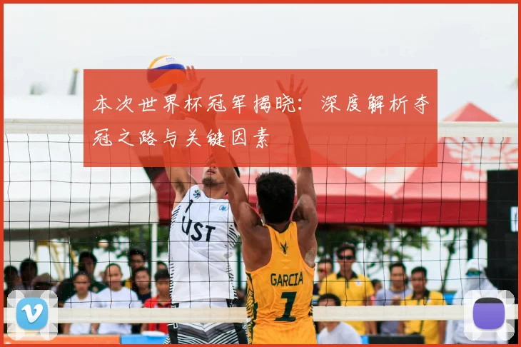 本次世界杯冠军揭晓：深度解析夺冠之路与关键因素