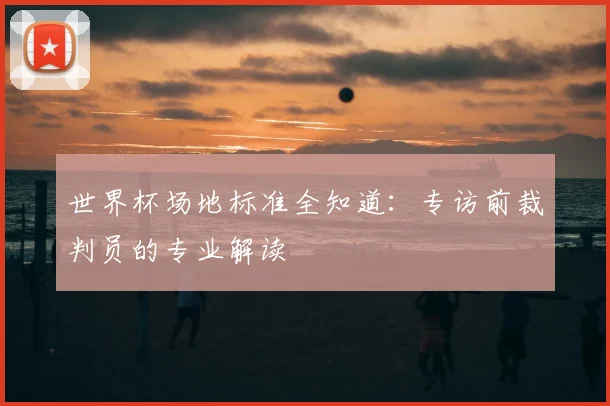 世界杯场地标准全知道：专访前裁判员的专业解读