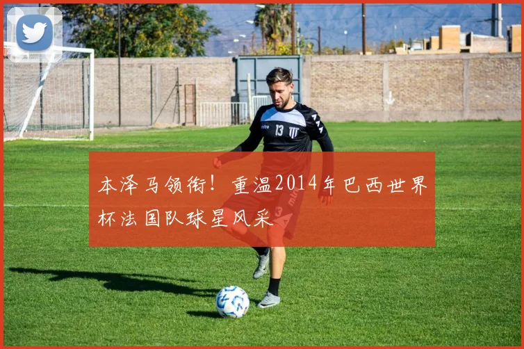 本泽马领衔！重温2014年巴西世界杯法国队球星风采