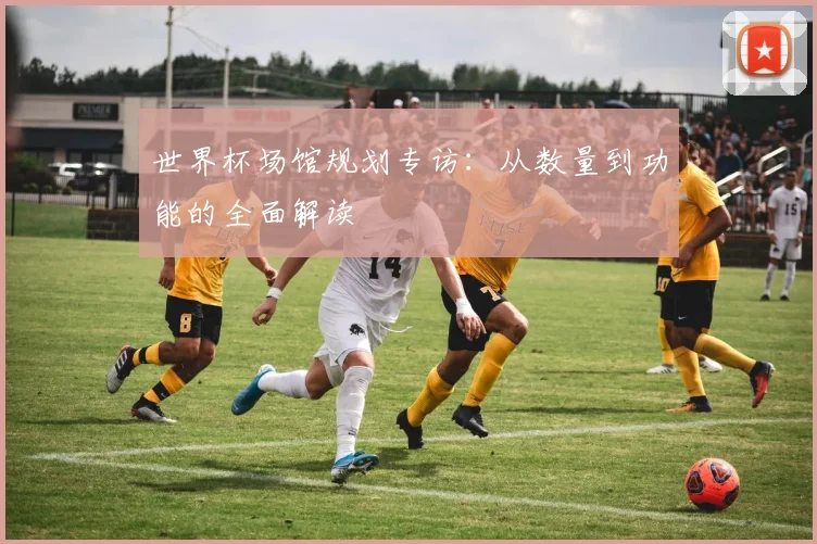 世界杯场馆规划专访：从数量到功能的全面解读